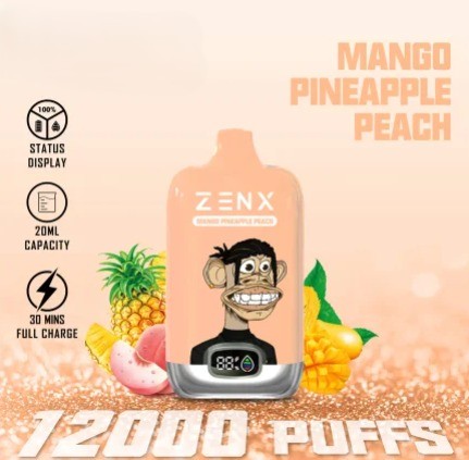 ZENX NFT Digital Box 12000 Puffs Mango Pineapple Peach